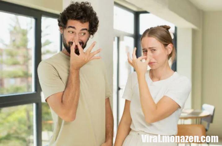 Why Your House Still Smells Bad (Even After Cleaning)